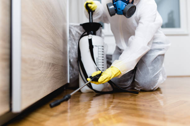 Best Pest Removal Services  in Siesta Shores, TX