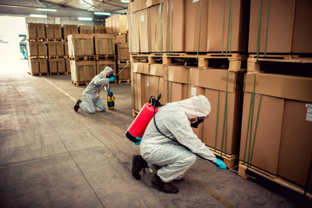 Best Local Pest Control Services  in Siesta Shores, TX