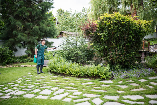 Best Best Pest Control Companies  in Siesta Shores, TX