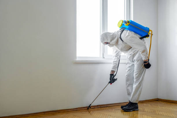 Best Commercial Pest Control Services  in Siesta Shores, TX